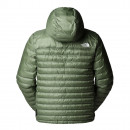Мужская куртка The North Face Terra Peak 0A88TVBO91 - зеленая