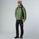 Мужская куртка The North Face Terra Peak 0A88TVBO91 - зеленая