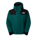 Мужская куртка The North Face DryVent Mono Mountain 0A88XF5861 - зеленая