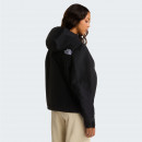 Женская куртка The North Face DryVent Mono Mountain 0A88YXJK31 - черная