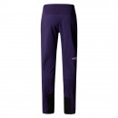 Штаны The North Face Down Turn 0A897W1JI1 - фиолетовые