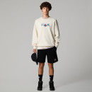 Толстовка The North Face Expedition System 0A89DDQLI1 - бежевый