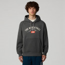 Куртка The North Face Varsity Graphic 0A89DJDYY1 - серая