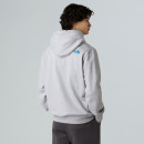 Мужская брюка The North Face Drew Peak 0A89EMFAO1 - серая