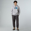 Мужская брюка The North Face Drew Peak 0A89EMFAO1 - серая