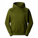 Мужская толстовка The North Face Raglan Box NSE 0A89F9DIW1 - зеленая