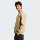 Мужская толстовка The North Face Raglan Box NS Crew 0A89FALK51 - бежевый
