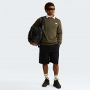 Мужская толстовка The North Face Simple Dome Crew 0A89FB21L1 - зеленая