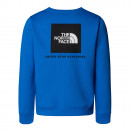Детский свитер The North Face Raglan Box NSE 0A89H7T4S1 - синий