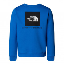 Детский свитер The North Face Raglan Box NSE 0A89H7T4S1 - синий