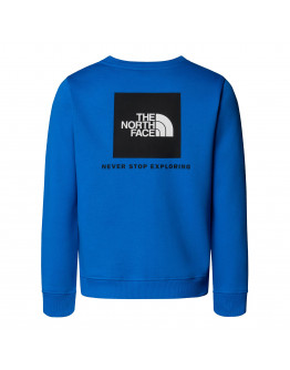 Детский свитер The North Face Raglan Box NSE 0A89H7T4S1 - синий
