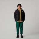 Куртка The North Face 1996 Retro Nuptse 0A8A4CJK31 - черная