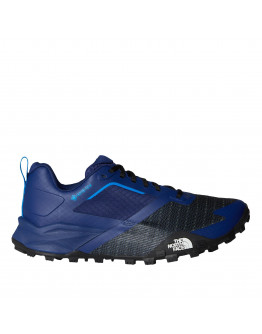 Мужская обувь The North Face Offtrail TR Gore-Tex Trail Running 0A8A9X16Y1 - синие