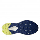 Мужская обувь The North Face Vectiv Enduris IV 0A8AEP73T1 - синие