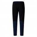 Мужские брюки The North Face Felik 0A8AQ192A1 - черные