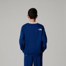 Детский свитер The North Face Simple Dome 0A8AXYD1R1 - темно-синий