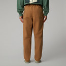 Мужские брюки The North Face Beta Utility 0A8B621731 - коричневые