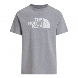 Мужская футболка The North Face Evolution Half Dome 0A8B6JCU71 - серая