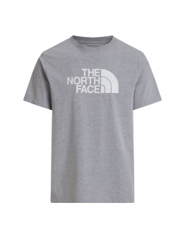 Мужская футболка The North Face Evolution Half Dome 0A8B6JCU71 - серая