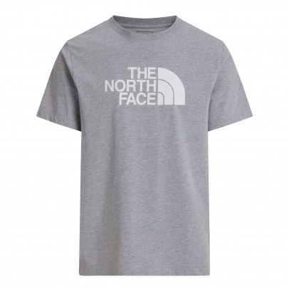 Мужская футболка The North Face Evolution Half Dome 0A8B6JCU71 - серая
