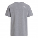 Мужская футболка The North Face Evolution Half Dome 0A8B6JCU71 - серая