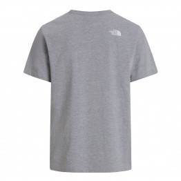 Мужская футболка The North Face Evolution Half Dome 0A8B6JCU71 - серая