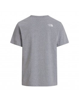 Мужская футболка The North Face Evolution Half Dome 0A8B6JCU71 - серая