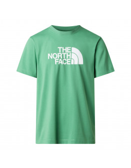Мужская футболка The North Face Evolution Half Dome 0A8B6JG571 - зеленая