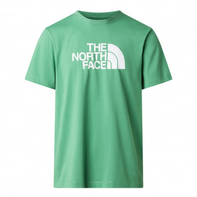 Мужская футболка The North Face Evolution Half Dome 0A8B6JG571 - зеленая