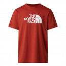 Мужская футболка The North Face Evolution Half Dome 0A8B6JG6I1 - красная