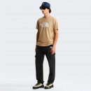 Мужская футболка The North Face Evolution Half Dome 0A8B6JLK51 - бежевый