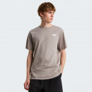 Мужская футболка The North Face Evolution NSE Box 0A8B6K2MB1 - серая