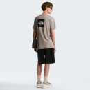 Мужская футболка The North Face Evolution NSE Box 0A8B6K2MB1 - серая