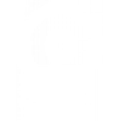 Мужская футболка The North Face Evolution NSE Box 0A8B6KG571 - зеленая