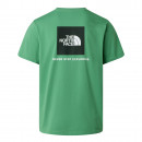 Мужская футболка The North Face Evolution NSE Box 0A8B6KG571 - зеленая