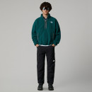 Мужские брюки The North Face Cargo Exploration 0A8BGFJK31 - черные