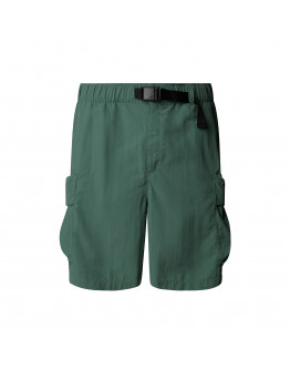 Мужские шорты The North Face Cargo Pocket 0A8BJGHCH1 - зеленые