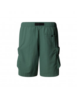 Мужские шорты The North Face Cargo Pocket 0A8BJGHCH1 - зеленые