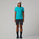 Женские шорты The North Face Felik 0A8BT4MN81 - серые