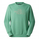 Мужская толстовка The North Face Drew Peak Light 0A8C1CMUA1 - зеленая