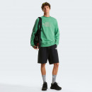 Мужская толстовка The North Face Drew Peak Light 0A8C1CMUA1 - зеленая