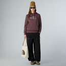 Женская толстовка The North Face Drew Peak Light 0A8C1DFAI1 - коричневая