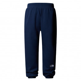 Мужские брюки The North Face Essential Relaxed Straight 0A8C1F8K21 - темно-синие