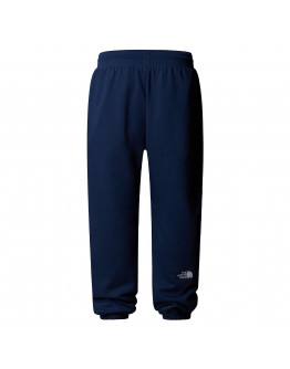 Мужские брюки The North Face Essential Relaxed Straight 0A8C1F8K21 - темно-синие