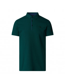 Мужская футболка The North Face Tanken 0A8C1N6GI1 - зеленая