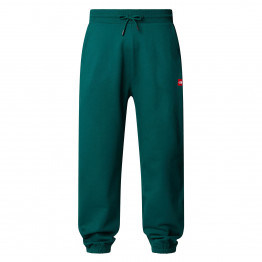 Мужские брюки The North Face AXYS 0A8C1U6GI1 - зеленые