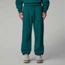 Мужские брюки The North Face AXYS 0A8C1U6GI1 - зеленые