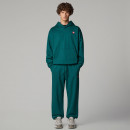 Мужские брюки The North Face AXYS 0A8C1U6GI1 - зеленые