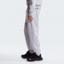 Мужские брюки The North Face Simple Dome 0A8C1WDYX1 - серые