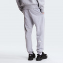 Мужские брюки The North Face Simple Dome 0A8C1WDYX1 - серые